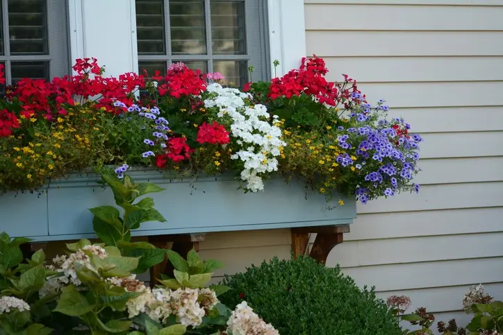 Spring flowers blooming at a Cape May Victorian home